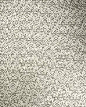 Обои Sanderson Parchment Flowers Parchment Flowers DPFWJA103 изображение 0