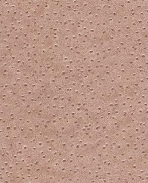 Обои Grandeco 2nd Skin 2S1002