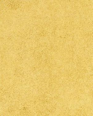 Обои Khroma Podium POD407