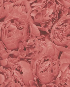 Обои розовые 2020 года Freundin Home Collection 3 464245 изображение 0