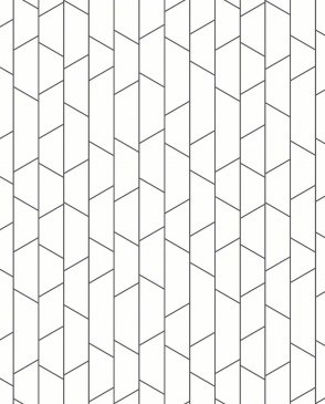 Обои черно-белые Graphics 4738 изображение 0