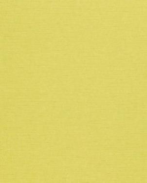 Обои Sanderson Painter's Garden Painter's Garden DAPGLD104 изображение 0