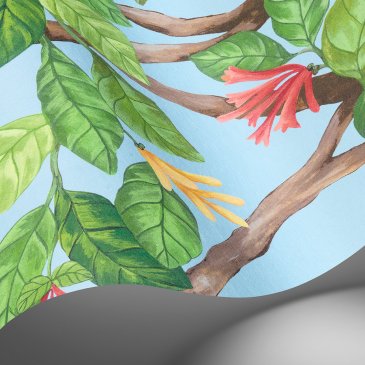 Обои Cole & Son Hummingbirds Cream 124-2011 изображение 3