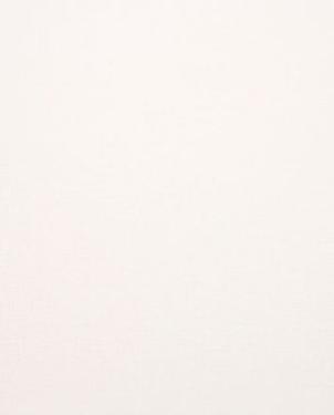 Обои Clarke & Clarke Showstoppers W0006-05