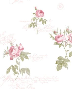 Обои бумажные с виниловым покрытием Rose Garden CG28820 изображение 0