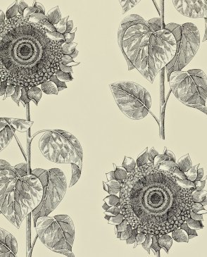 Обои Sanderson Vintage Vintage DVIWPA104 изображение 0