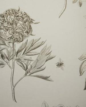 Обои Sanderson Parchment Flowers Parchment Flowers DPFWER106 изображение 0