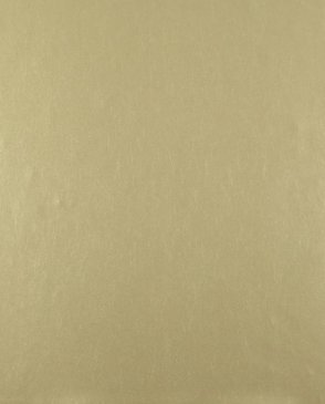 Обои York Candice Olson Modern Luxe ND7090