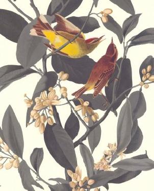 Обои Lutece Les Essentiels 51175509