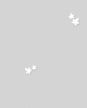 Обои Andrea Rossi Spectrum Pro с листьями Spectrum Pro 54384-5 изображение 0