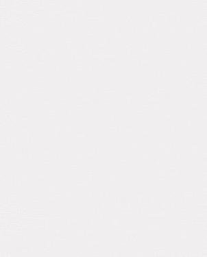 Обои однотонные серые в стиле минимализма Spectrum Pro 54385-11 изображение 0