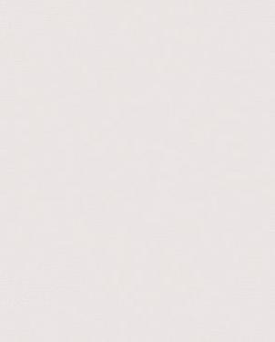 Обои однотонные серые в стиле минимализма Spectrum Pro 54385-12 изображение 0