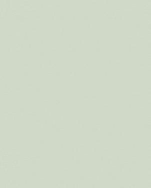 Обои однотонные зеленые Spectrum Pro 54385-6 изображение 0