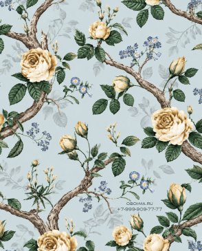 Обои Andrea Rossi Каволли (Cavolli) 54421-5