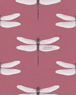 Обои с бабочками, насекомыми для кухни Cavolli 54426-5 изображение 0