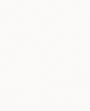 Обои – новинки Spectrum Boom 54482-1 изображение 0