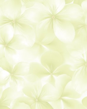 Обои моющиеся Spectrum Boom 54483-5 изображение 0