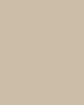 Обои Роше (Roshe) 54507-10 изображение 0