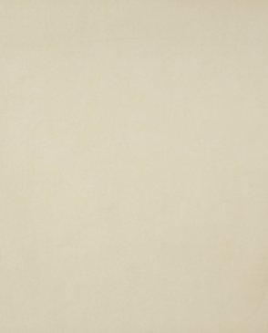 Обои Caselio Oh La La 55421309