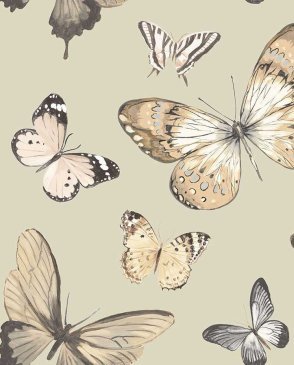 Обои с бабочками, насекомыми с акриловым покрытием Chelsea Lane JB60308 изображение 0