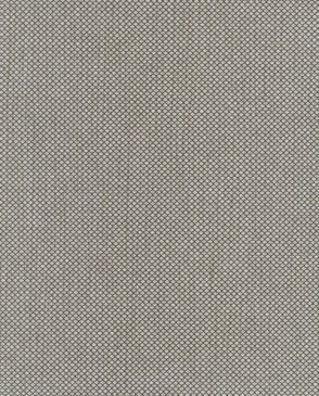 Обои Hookedonwalls Delicate Chic 73212