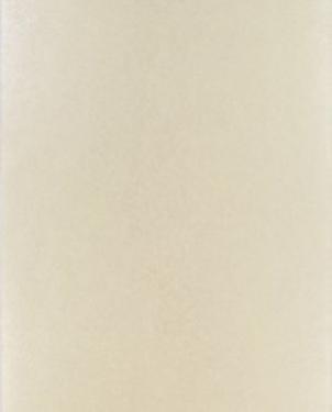 Обои Designers Guild Tsuga p502-09