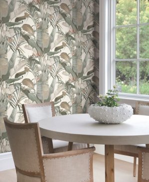 Обои York Candice Olson Natural Discovery NT6131 изображение 2