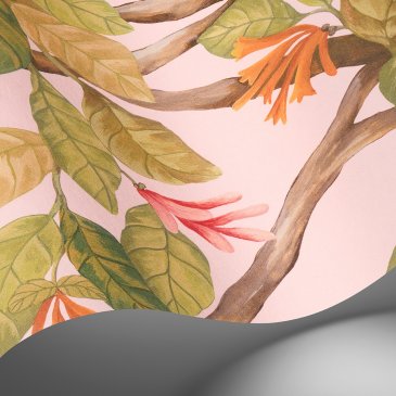 Обои Cole & Son Hummingbirds Cream 124-2009 изображение 4