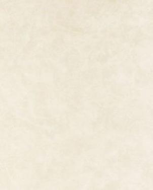 Обои Clarke & Clarke Floribunda W0035-04