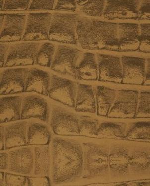 Обои Marburg Gloockler Deux 54491