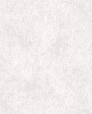 Обои Decoprint NV Selena SL18120