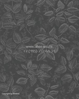 Обои Khroma Silva SIA501