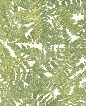 Обои Chesapeake Natural Living NL58202L