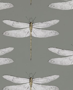 Обои с бабочками, насекомыми с акриловым покрытием Palmetto 111242 изображение 0