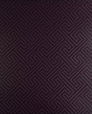 Обои темные Viva W0013-02 изображение 0