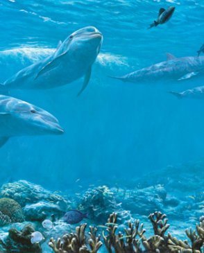 Обои York Brothers & Sisters IV BT2961M