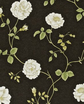 Обои Sanderson Painter's Garden Painter's Garden DAPGRO104 изображение 0