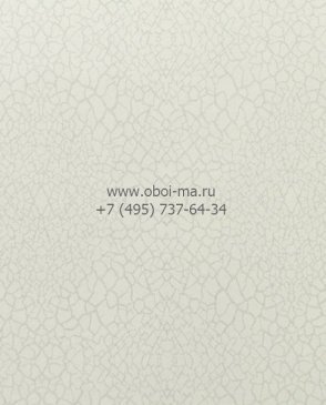Обои OMEXCO с текстильным покрытием Nashira NAI3801 изображение 0