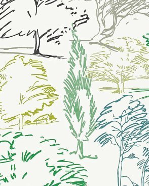 Обои Sanderson Colour for Living Colour for Living DCFL211671 изображение 0