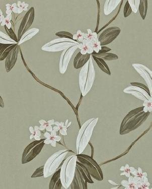 Обои Sanderson Richmond Hill Richmond Hill DRCH212132 изображение 0