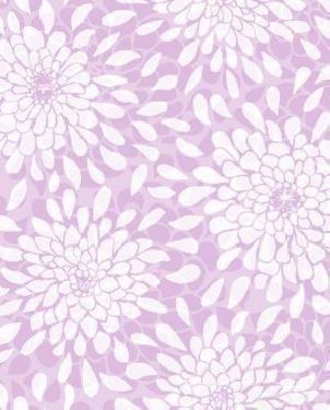 Обои York Cool Kids KS2394