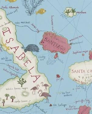 Обои Sanderson Voyage of Discovery Wallpapers Voyage of Discovery Wallpapers DVOY213366 изображение 0