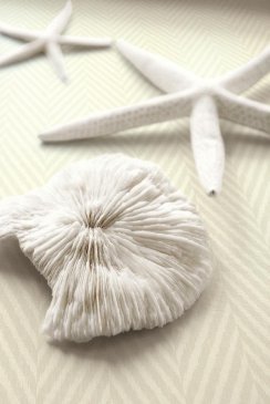 Обои Wallquest Yacht Club YC61600 изображение 3