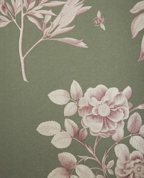 Обои Sanderson Parchment Flowers Parchment Flowers DPFWER105 изображение 0