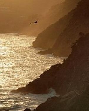 Обои Atlas Wallcoverings Raphael 4 1414