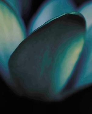 Обои Decoprint NV Arcadia EXD18580