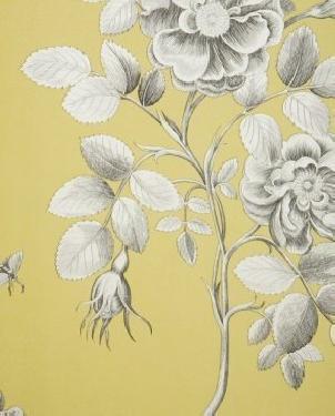Обои Sanderson Parchment Flowers Parchment Flowers DPFWER104 изображение 0