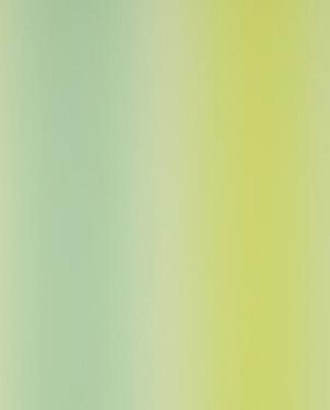 Обои Designers Guild Surabaya P631-08