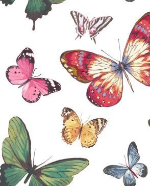 Обои с бабочками, насекомыми разноцветные с акриловым покрытием Chelsea Lane JB60300 изображение 0