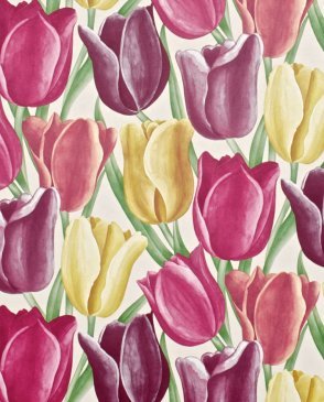 Обои Sanderson Vintage Vintage DVIWEA103 изображение 0